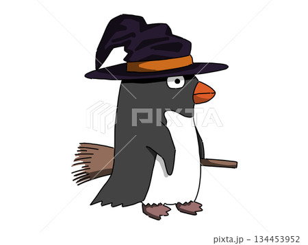 魔法使いの仮装をするペンギン 134453952