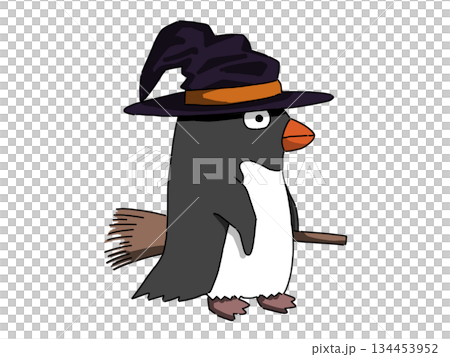 魔法使いの仮装をするペンギン 134453952