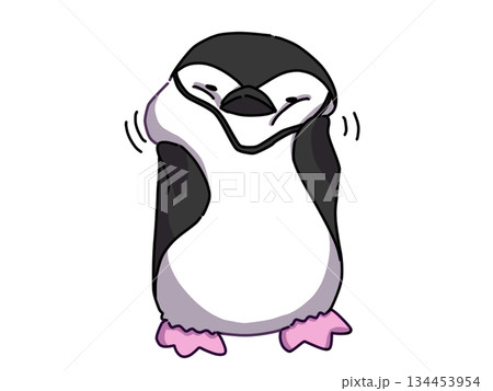 顔をマッサージするアゴヒモペンギン 顔をマッサージするアゴヒモペンギン 134453954