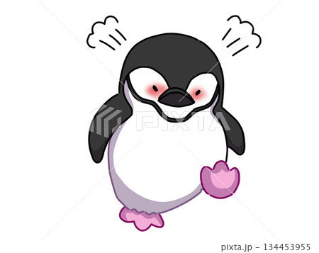 怒るアゴヒモペンギン 怒るアゴヒモペンギン 134453955