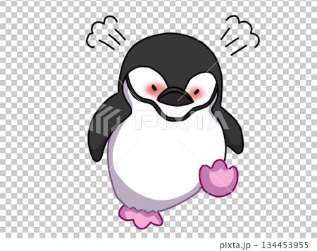 怒るアゴヒモペンギン 怒るアゴヒモペンギン 134453955