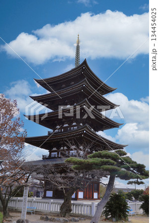 日泰寺の五重塔 日泰寺の五重塔 134454025