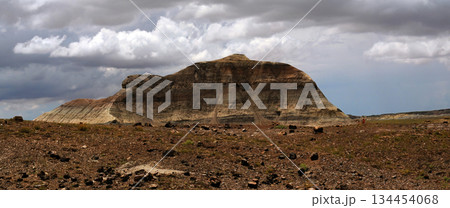 Bleak Landscape Petrified Forest National Park Arizona Bleak Landscape Petrified Forest National Park Arizona 134454068