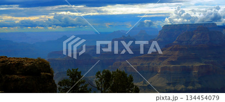 Grand Canyon Arizona 134454079