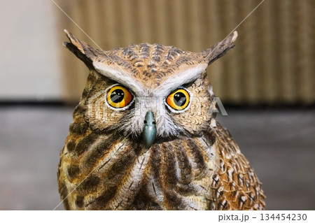 Close-up of the Owl Decor for Home, small Owl Statue Owl Figurines. Home Decoration. Close-up of the Owl Decor for Home, small Owl Statue Owl Figurines. Home Decoration. 134454230