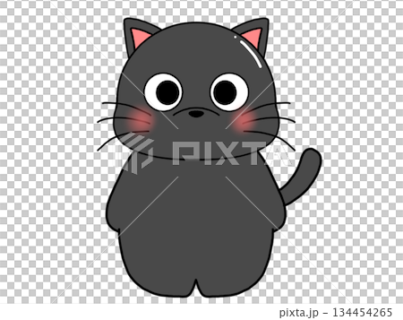黑貓的插圖 134454265
