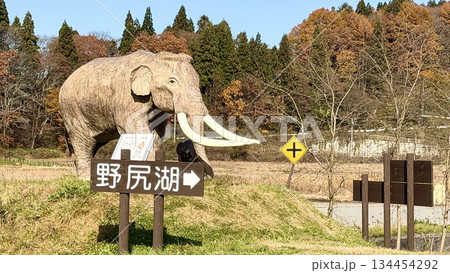 国道18号からの野尻湖ナウマンゾウの親子像 秋 国道18号からの野尻湖ナウマンゾウの親子像 秋 134454292