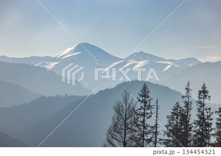 Tatra Mountains above Zakopane town in Poland, Europe. Misty mountain range under a soft sky, with snow-dusted peaks and silhouettes of trees in the foreground. Nature's quiet majesty. 134454321