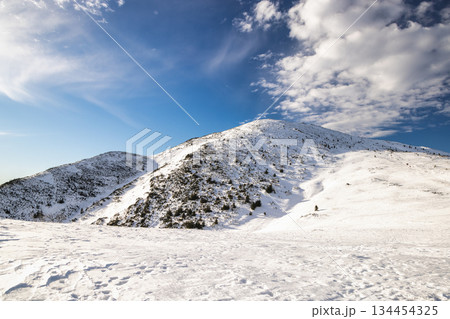 Snow-covered mountain peak under a blue sky. The Velky Krivan peak in The Mala Fatra national park, Slovakia, Europe. 134454325