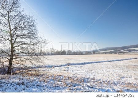 Winter snowy country at sunny day. Region Pilsen in Czech Republic, Europe. 134454355