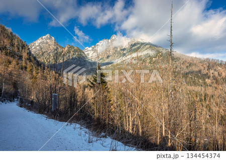 Snow-covered path in a mountain landscape, surrounded by leafless trees with a backdrop of snow-capped peaks beneath a partly cloudy sky. High Tatras National Park, Slovakia, Europe. Snow-covered path in a mountain landscape, surrounded by leafless trees with a backdrop of snow-capped peaks beneath a partly cloudy sky. High Tatras National Park, Slovakia, Europe. 134454374