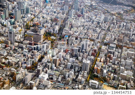 仙台市青葉区国分町付近を空撮 仙台市青葉区国分町付近を空撮 134454753