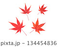 赤く色付いた複数の紅葉 134454836