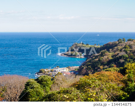 旅情溢れる東伊豆海岸 海と道が続く記憶 East Izu Coastline Journey 134454875