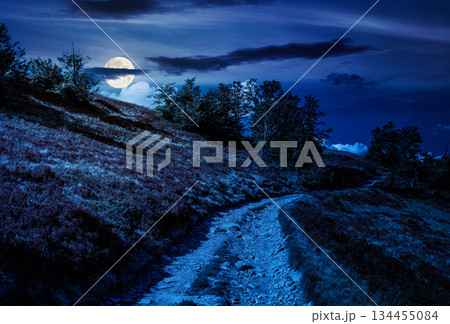 dirt gravel road winding uphill at night. hiking trail in mountain landscape under blue sky in full moon light. traverse path through steep slope. background for fake news or conspiracy concepts dirt gravel road winding uphill at night. hiking trail in mountain landscape under blue sky in full moon light. traverse path through steep slope. background for fake news or conspiracy concepts 134455084
