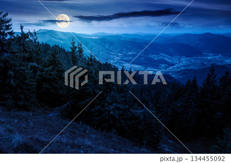 coniferous forest in mountain landscape at night. scenic place in national park in full moon light. panoramic view of valley and lush green slope. background image for investment or abstract concepts 134455092