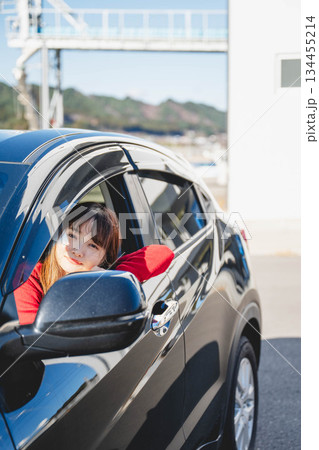 晴れた日に車を運転する若いロングヘアの女性 晴れた日に車を運転する若いロングヘアの女性 134455214