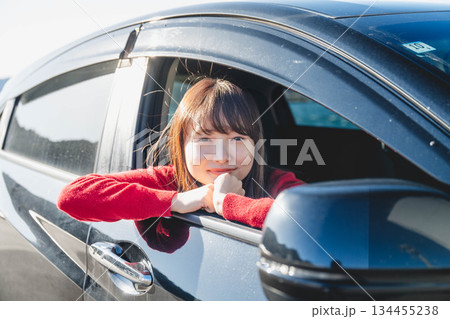 晴れた日に車を運転する若いロングヘアの女性 晴れた日に車を運転する若いロングヘアの女性 134455238