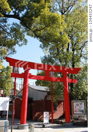 東京都江東区富岡にある富岡八幡宮 東京都江東区富岡にある富岡八幡宮 134455247