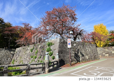 京橋口門の石垣と紅葉(彦根城) 京橋口門の石垣と紅葉(彦根城) 134455625