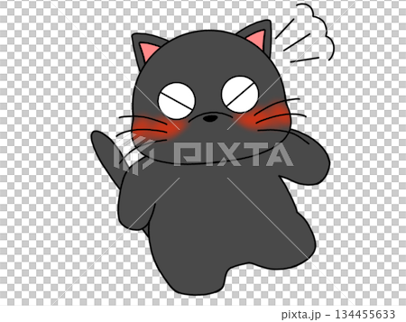 Angry Kuroneko 134455633