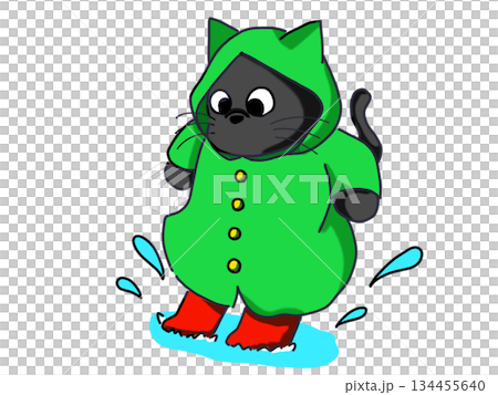Black cat stepping in a puddle Black cat stepping in a puddle 134455640