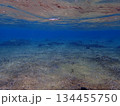 水面 134455750