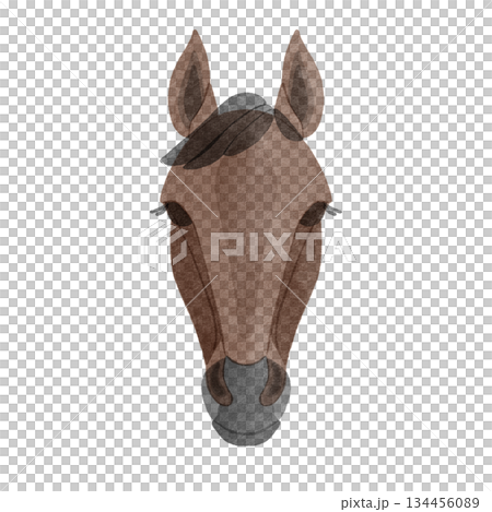 馬的臉圖 134456089