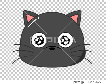 目が潤んだクロネコ 134456275
