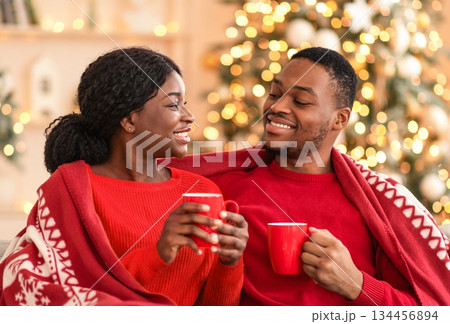 Romantic celebration of new year and christmas on self-isolation at home. Smiling millennial african american couple sit on sofa in blanket and hold cups with drink in interior with tree and garlands 134456894
