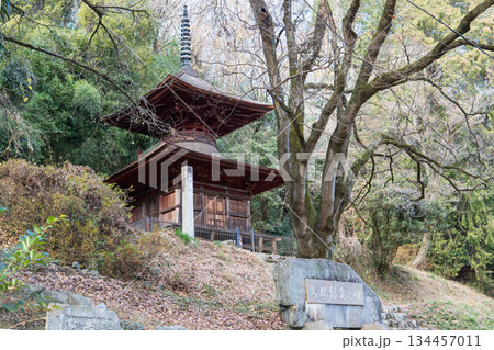 埼玉県：金鑚（かなさな）神社／国指定重要文化財の多宝塔／児玉郡神川町 134457011