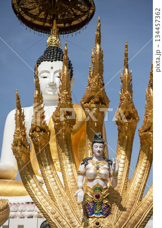 THAILAND UTTARADIT WAT KHUNG TAPHAO 134457362