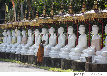 THAILAND UTTARADIT WAT KHUNG TAPHAO THAILAND UTTARADIT WAT KHUNG TAPHAO 134457376