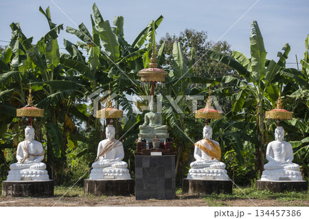THAILAND UTTARADIT WAT KHUNG TAPHAO THAILAND UTTARADIT WAT KHUNG TAPHAO 134457386