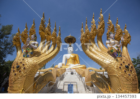 THAILAND UTTARADIT WAT KHUNG TAPHAO 134457393