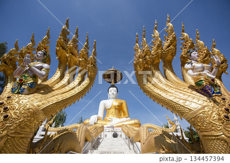 THAILAND UTTARADIT WAT KHUNG TAPHAO THAILAND UTTARADIT WAT KHUNG TAPHAO 134457394