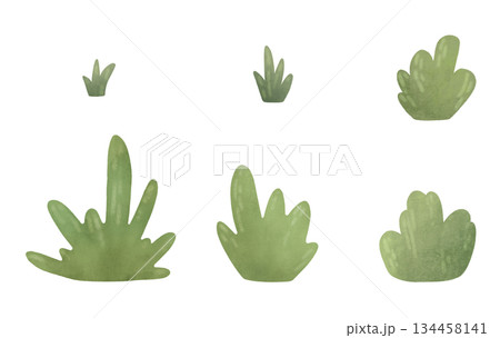 Set elements: isolated simple bushes, tufts of grass. Cartoon illustration in a flat style. Watercolor, pastel. For design of children's products Set elements: isolated simple bushes, tufts of grass. Cartoon illustration in a flat style. Watercolor, pastel. For design of children's products 134458141