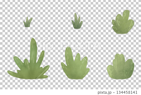 Set elements: isolated simple bushes, tufts of grass. Cartoon illustration in a flat style. Watercolor, pastel. For design of children's products Set elements: isolated simple bushes, tufts of grass. Cartoon illustration in a flat style. Watercolor, pastel. For design of children's products 134458141