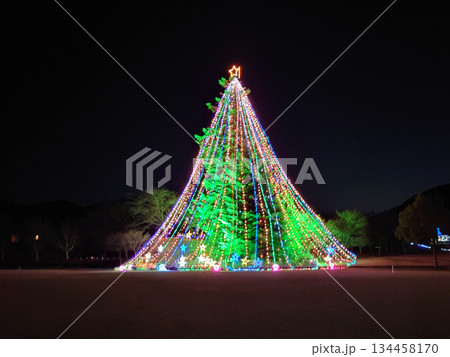 イルミネーションで飾られたクリスマスツリー 134458170