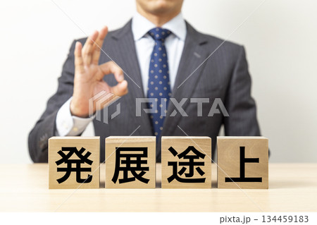 「発展途上」と書かれたブロックとOKポーズをするビジネスマン 134459183