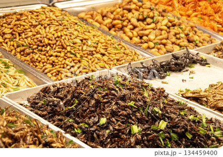 Fried insects are a popular street food in Thailand. Fried insects are a popular street food in Thailand. 134459400