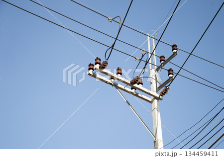 Insulation for high-voltage transmission lines on poles. 134459411