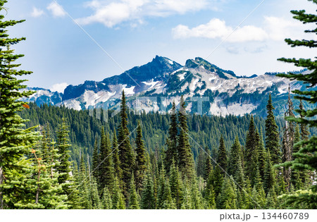 Scenery autumn countryside. Tahoma mountain landscape with forest. Mount Rainier mountain landscape. Forest nature. Nature in mountain countryside. Scenery landscape of mountain. Vast wilderness 134460789