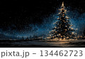 Christmas fir tree card. Fantasy fairy tale. New Year eve 134462723