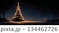 Christmas fir tree card. Fantasy fairy tale. New Year eve 134462726