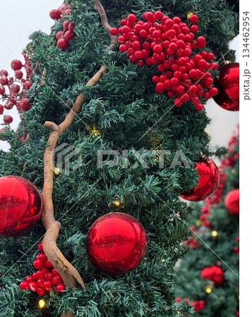 Close-up of Christmas tree branch with red berries and ornaments. Festive seasonal decor, winter celebration and traditional holiday styling. 134462954