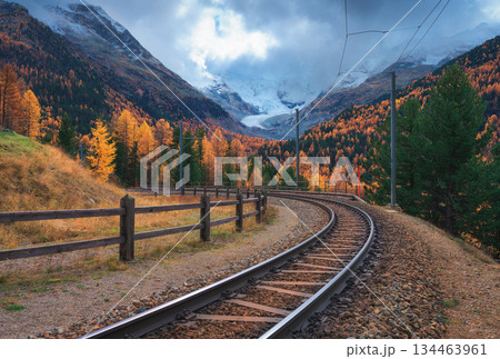 Curved railway tracks through autumn forest in the Swiss Alps 134463961