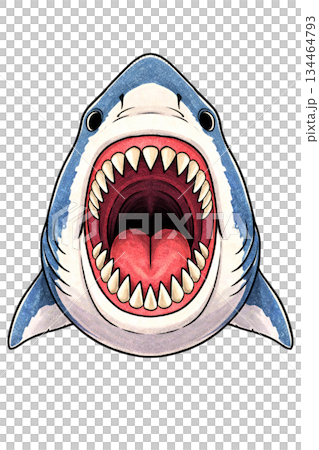 Shark with a big open mouth front 134464793