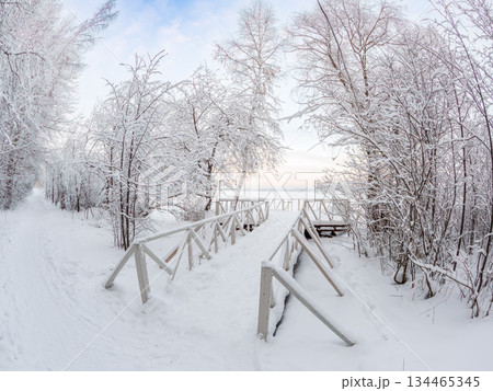 Winter landscape with snow covered trees and pier. Lake covered with thin ice. Winter landscape with snow covered trees and pier. Lake covered with thin ice. 134465345