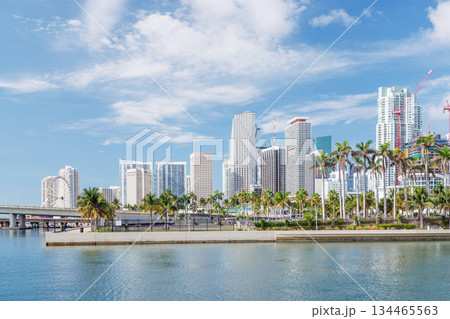 Modern skyline of Miami with towering skyscrapers, tropical vibe, and waterfront views Modern skyline of Miami with towering skyscrapers, tropical vibe, and waterfront views 134465563